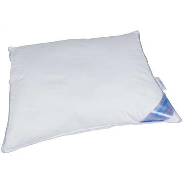 Polydaun hoofdkusssen Guusje - wit - 60x70 cm - Leen Bakker
