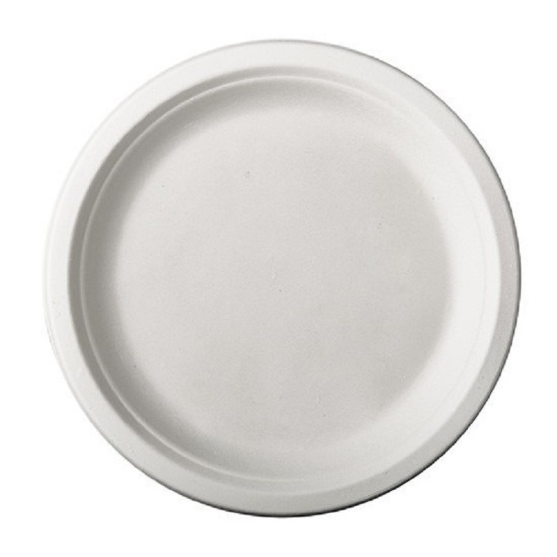 60x Witte suikerriet dinerbordjes 26 cm biologisch afbreekbaar -