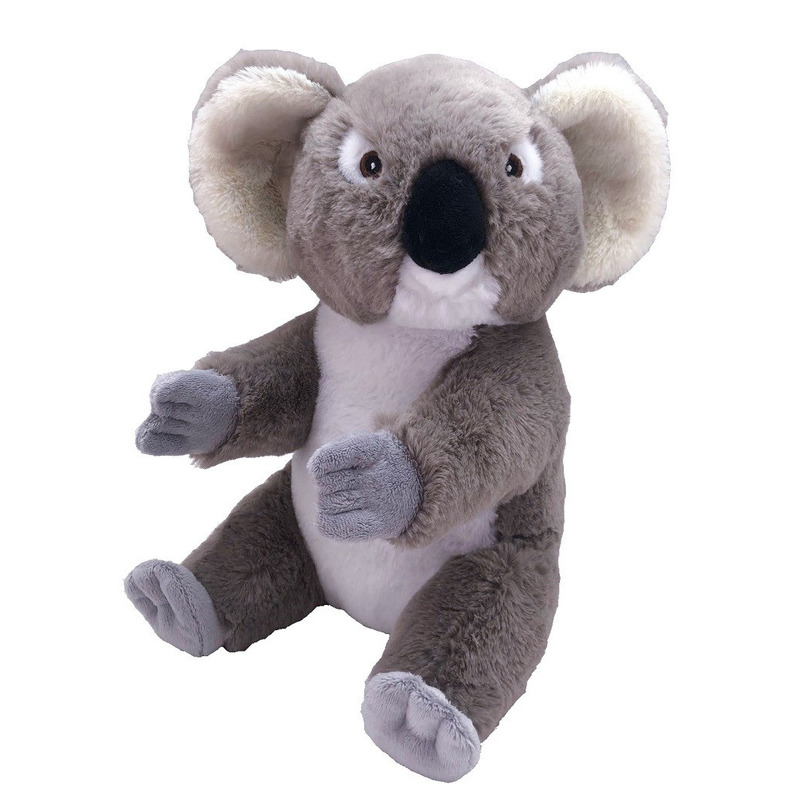 Pluche koala beer knuffel - 30 cm - Australische dieren - Koala beren knuffeldieren -