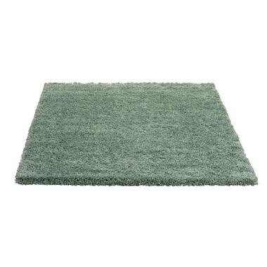 Vloerkleed Luxury - groen - 160x230 cm - Leen Bakker