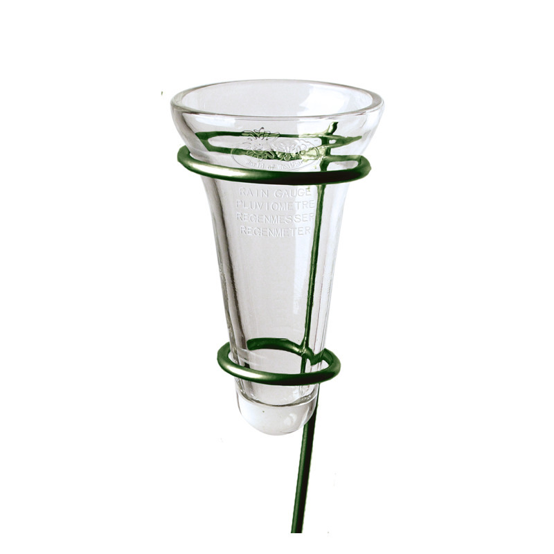 1x Regenmeter/neerslagmeter glas met verzinkte grondpen groen 69 cm -