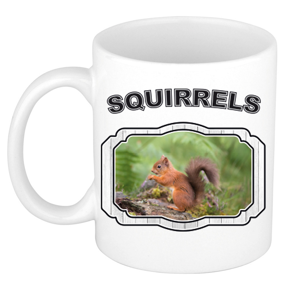 Dieren eekhoorntje beker - squirrels/ eekhoorntjes mok wit 300 ml -