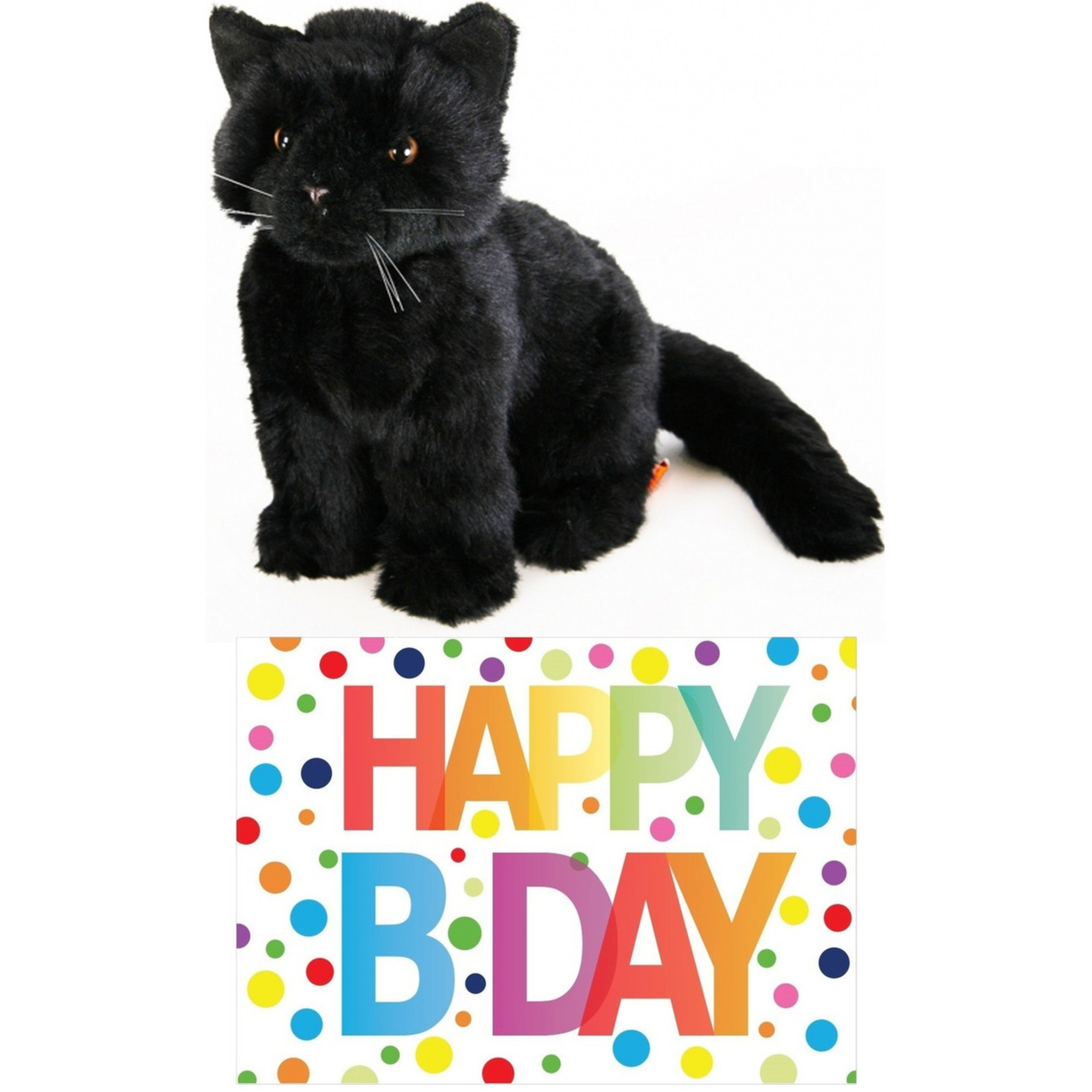 Cadeau setje pluche zwarte kat/poes knuffel 20 cm met Happy Birthday wenskaart -