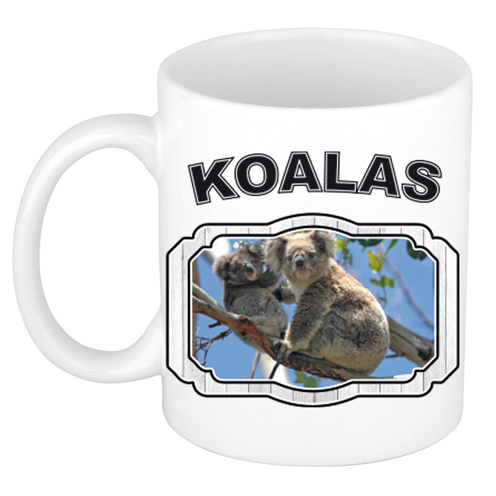 Dieren koala beer beker - koalas/ koalaberen mok wit 300 ml -