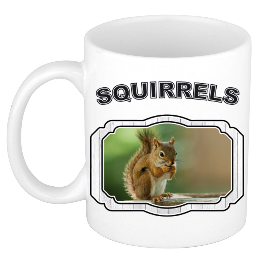Dieren eekhoorn beker - squirrels/ eekhoorns mok wit 300 ml -