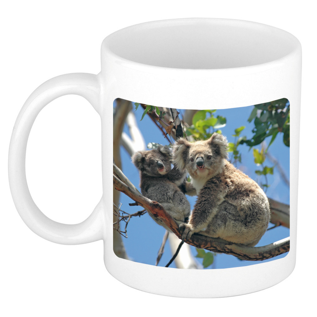 Dieren foto mok koala beer - koalaberen beker wit 300 ml -