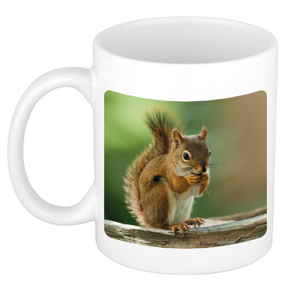 Dieren foto mok eekhoorn - eekhoorns beker wit 300 ml -