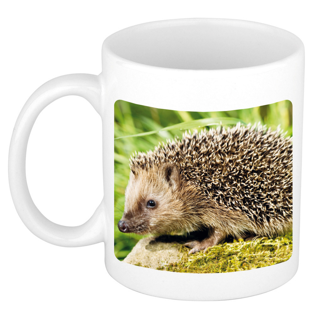 Dieren foto mok egel - egels beker wit 300 ml -