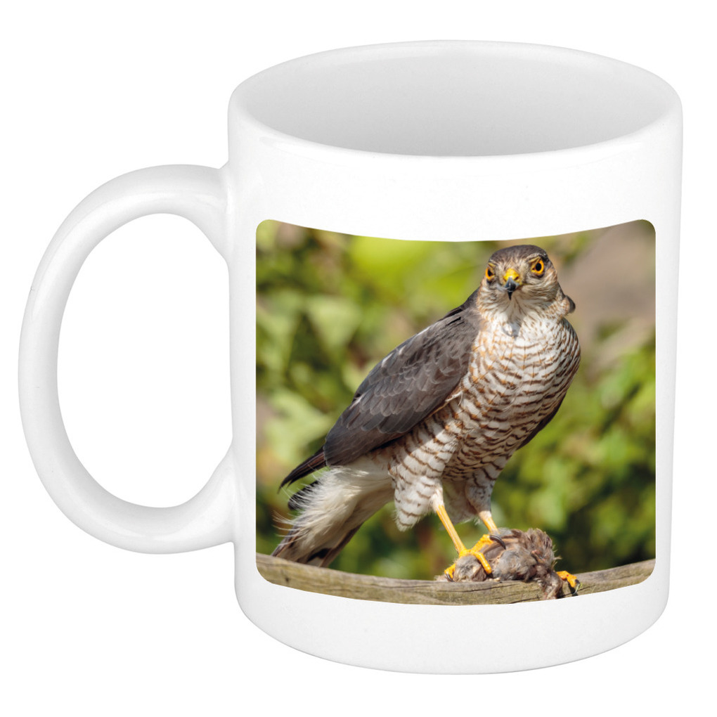 Dieren foto mok havik roofvogel - roofvolgel beker wit 300 ml -