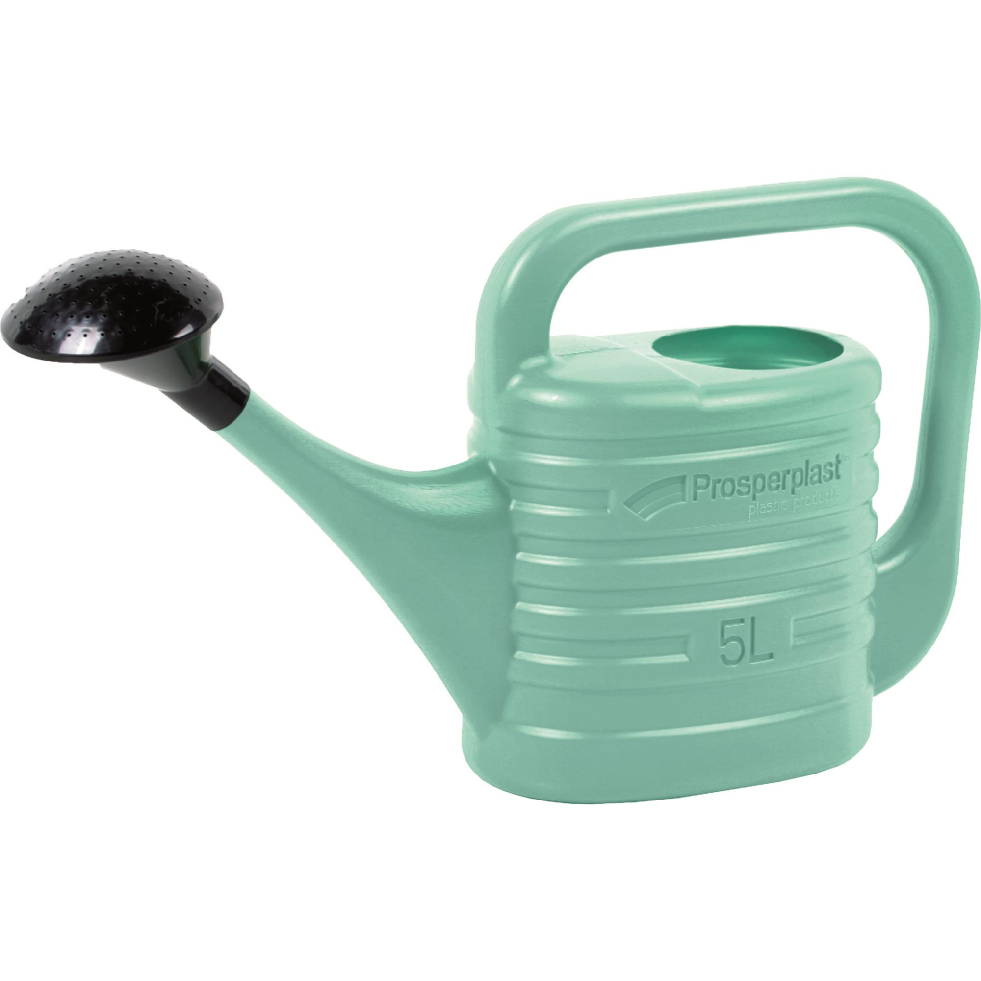 Prosperplast Gieter met broeskop - mintgroen - kunststof - 5 liter -