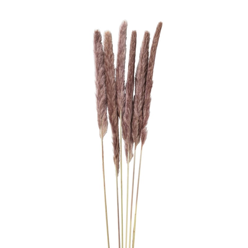 Pluim smal - 6 stuks - 70 cm