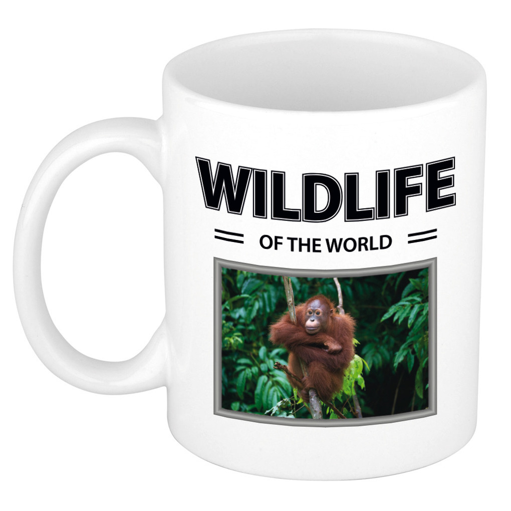 Orang oetan aap mok met dieren foto wildlife of the world -