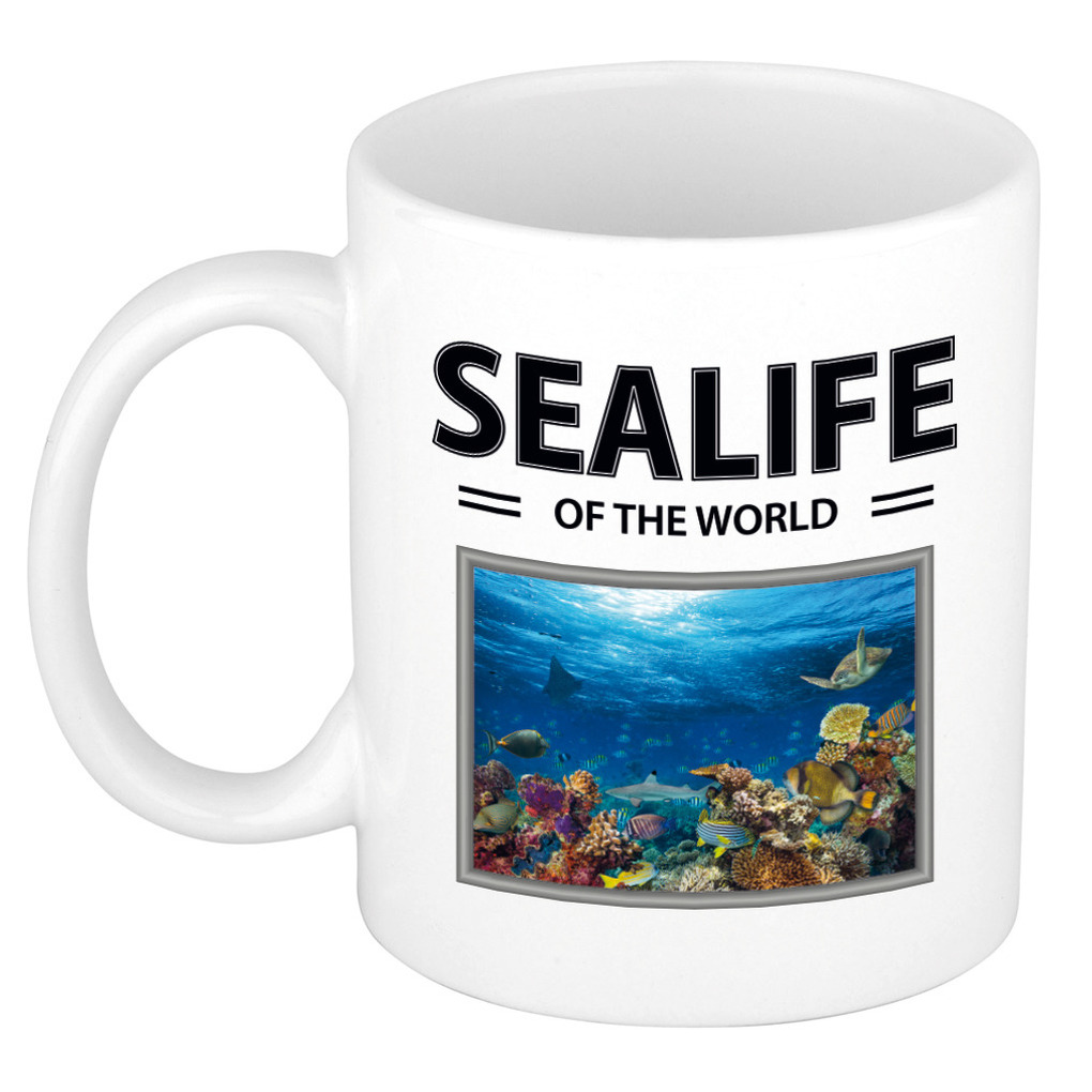 Vis mok met dieren foto sealife of the world -