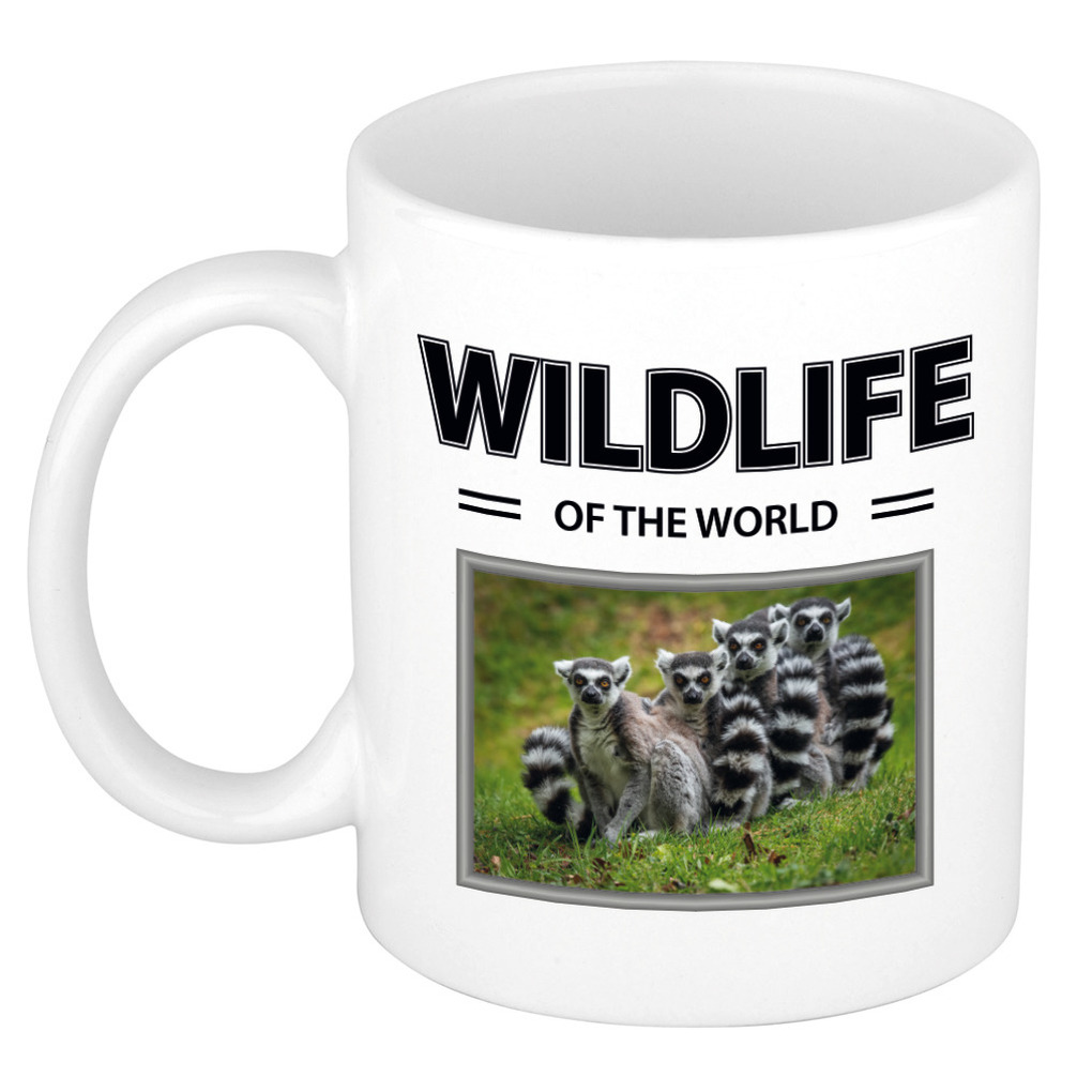 Ringstaart maki mok met dieren foto wildlife of the world -