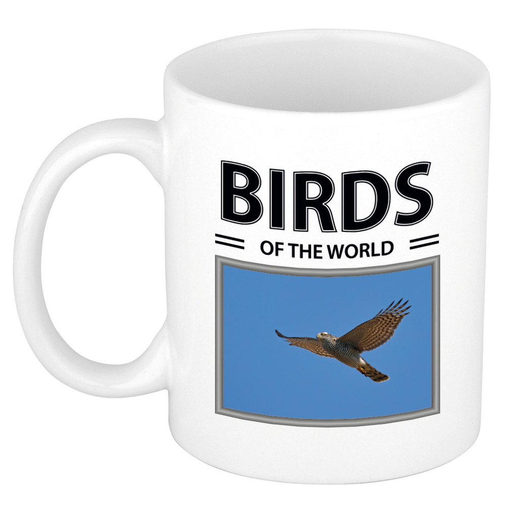 Havik roofvogels mok met dieren foto birds of the world -