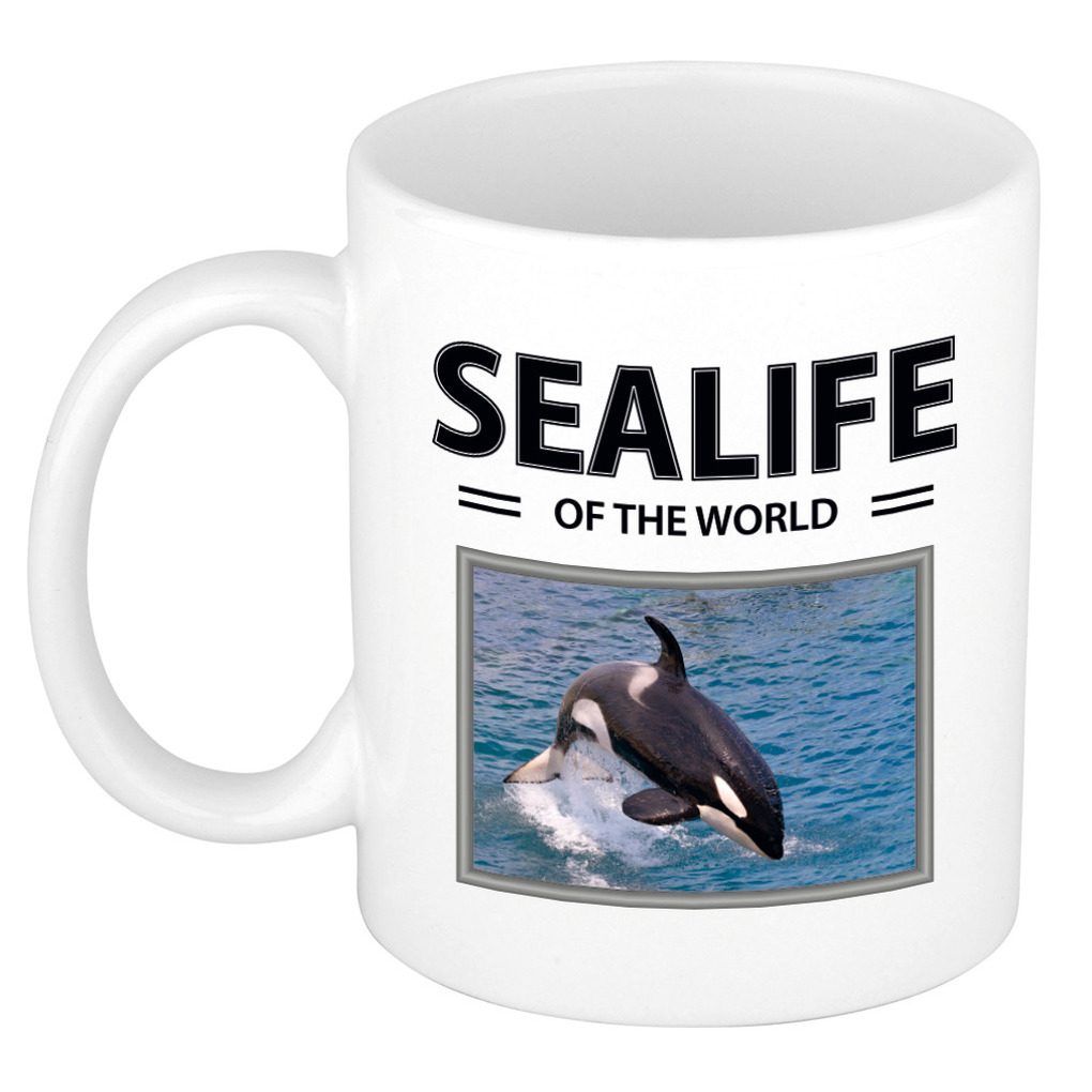 Orka mok met dieren foto sealife of the world -