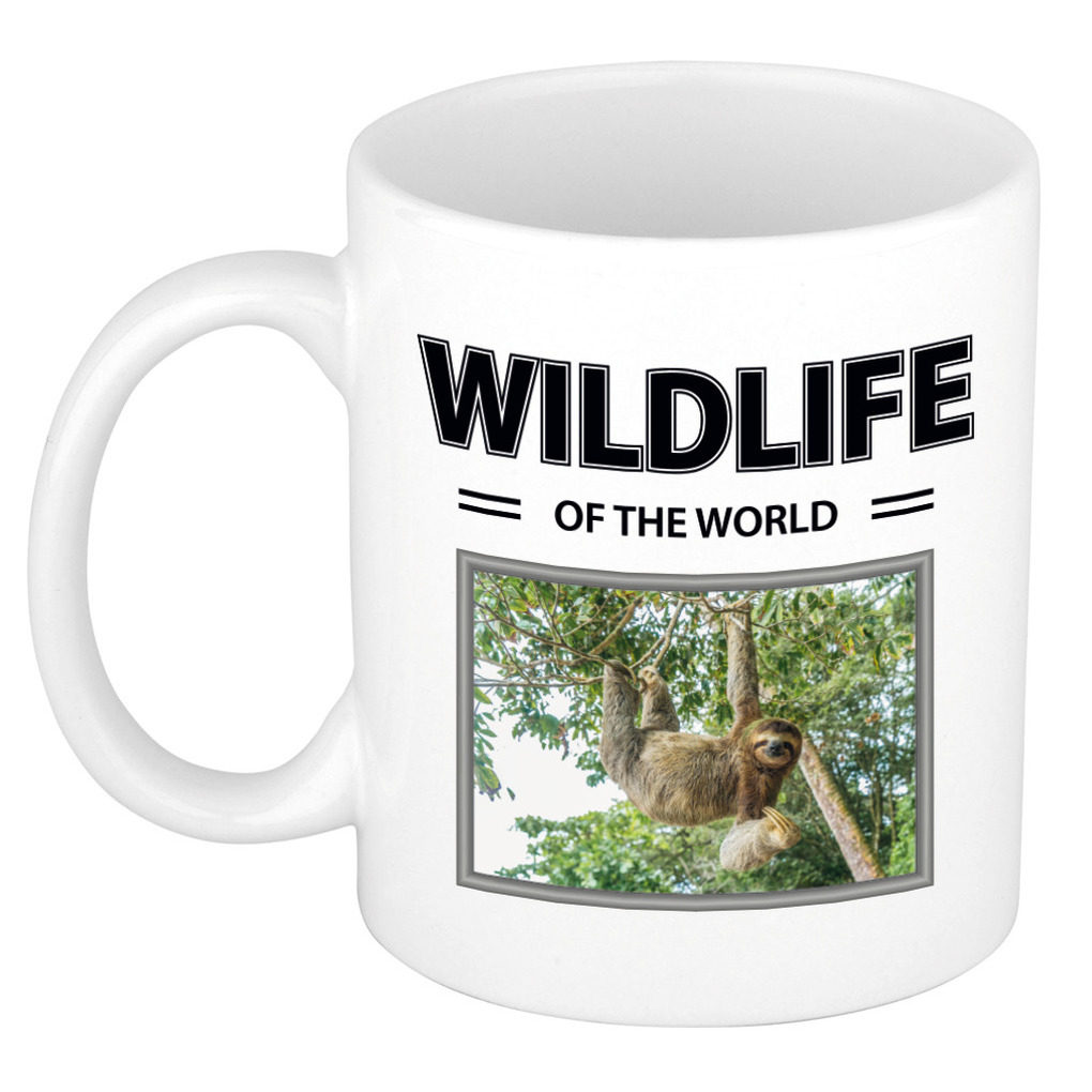 Luiaard mok met dieren foto wildlife of the world -