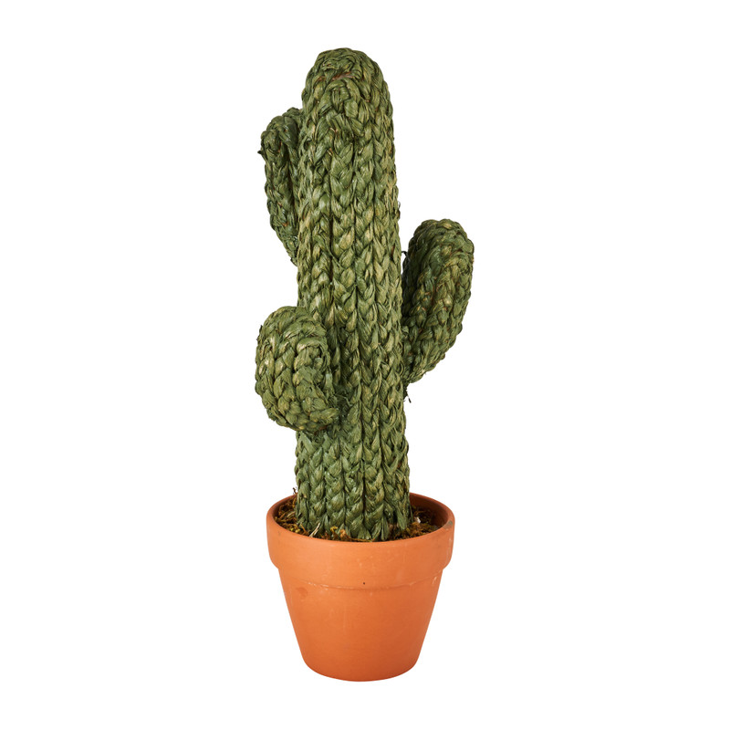 Cactus in pot - groen - 23x18x50 cm