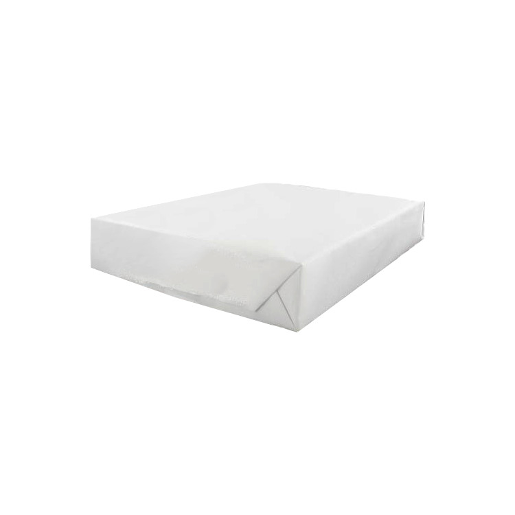 Canon Papier White Paper A4 papier 500 vel
