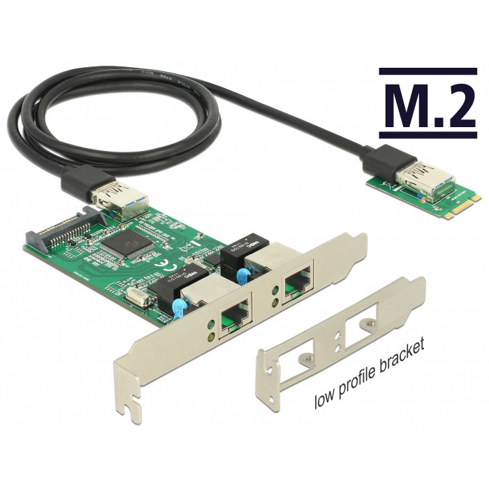DeLOCK Converter M.2 Key B+M male > 2 x Gigabit LAN netwerkadapter Low Profile