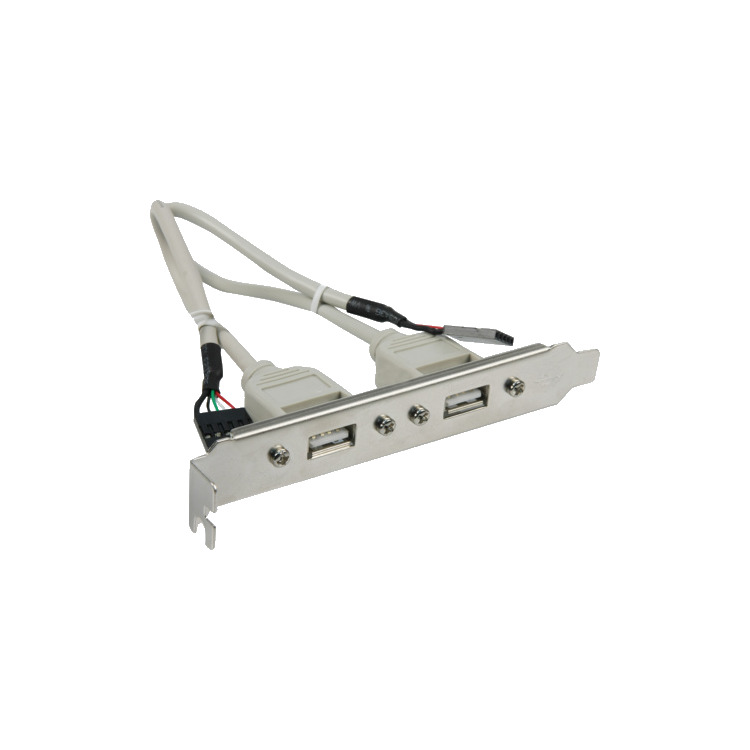 Diverse Adapter bracket 2xUSB slotplaatje