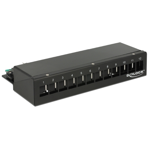DeLOCK Keystone Desktop Patch Panel 12 Port patchpaneel 43339