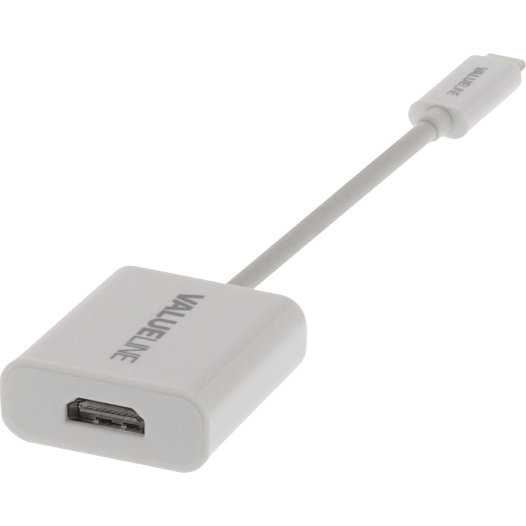 Diverse Adapter USB-C Male - HDMI Female adapter