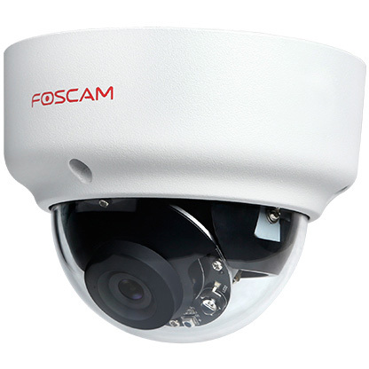 Foscam D2EP beveiligingscamera
