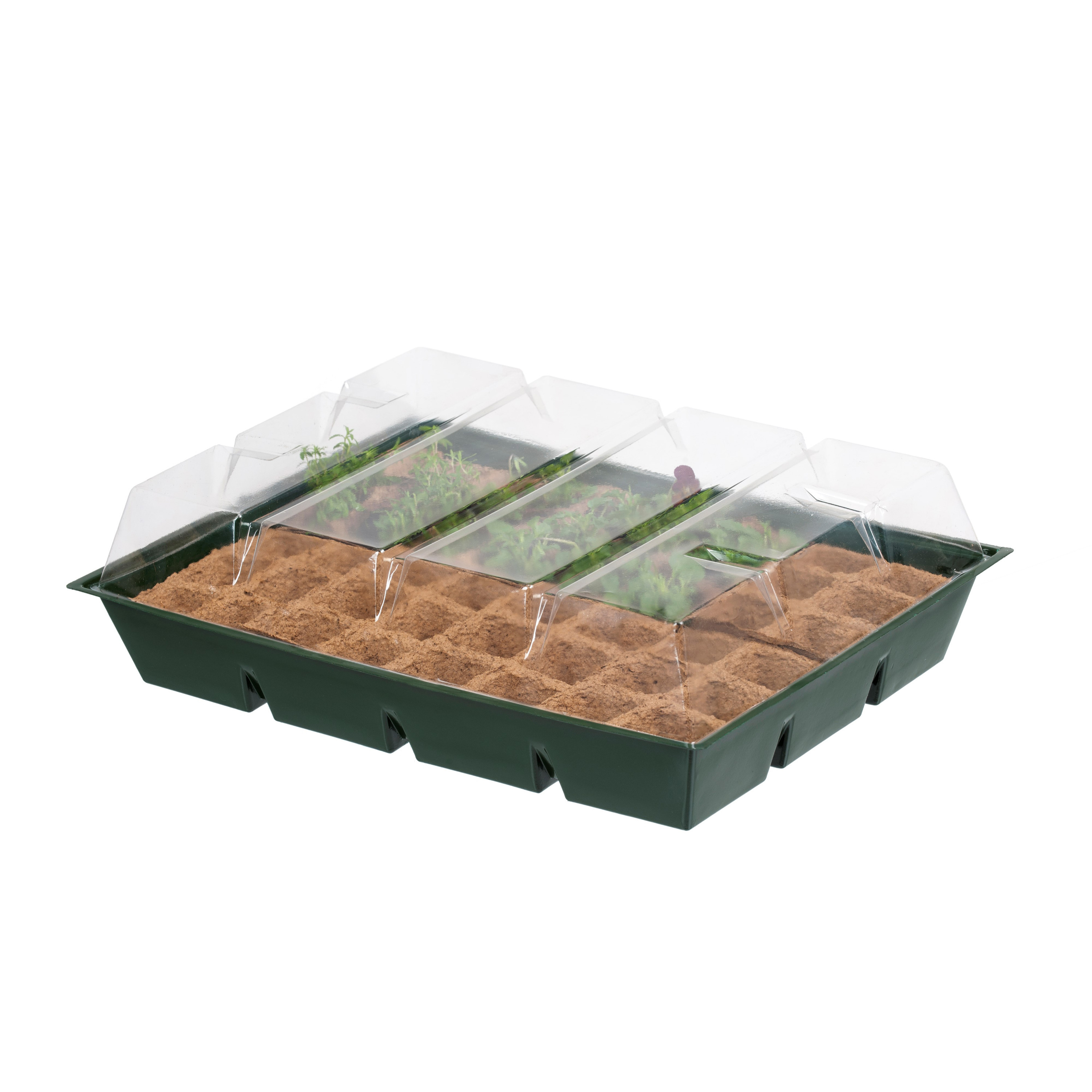 Grote kweekbak/kweekkast met deksel 13 x 43 x 32 cm -