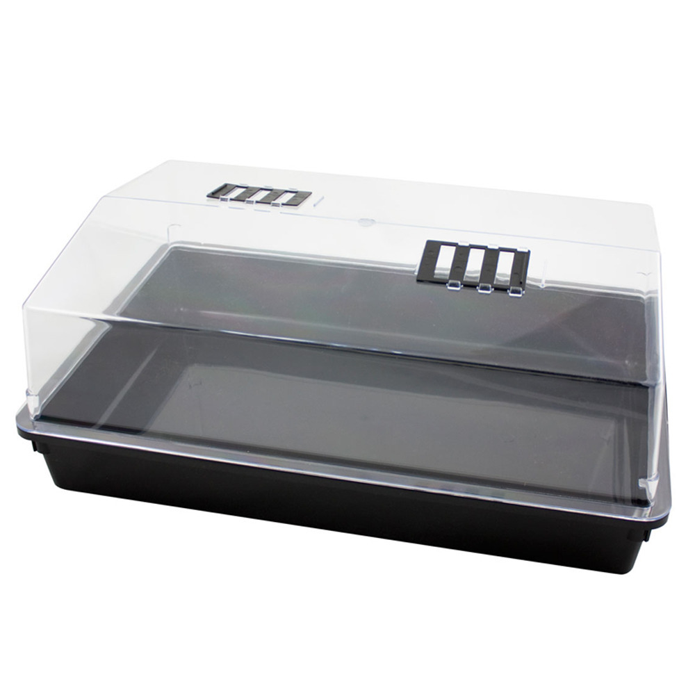 Grote kweekbak/kweekkast met deksel 24 x 59 x 39 cm -