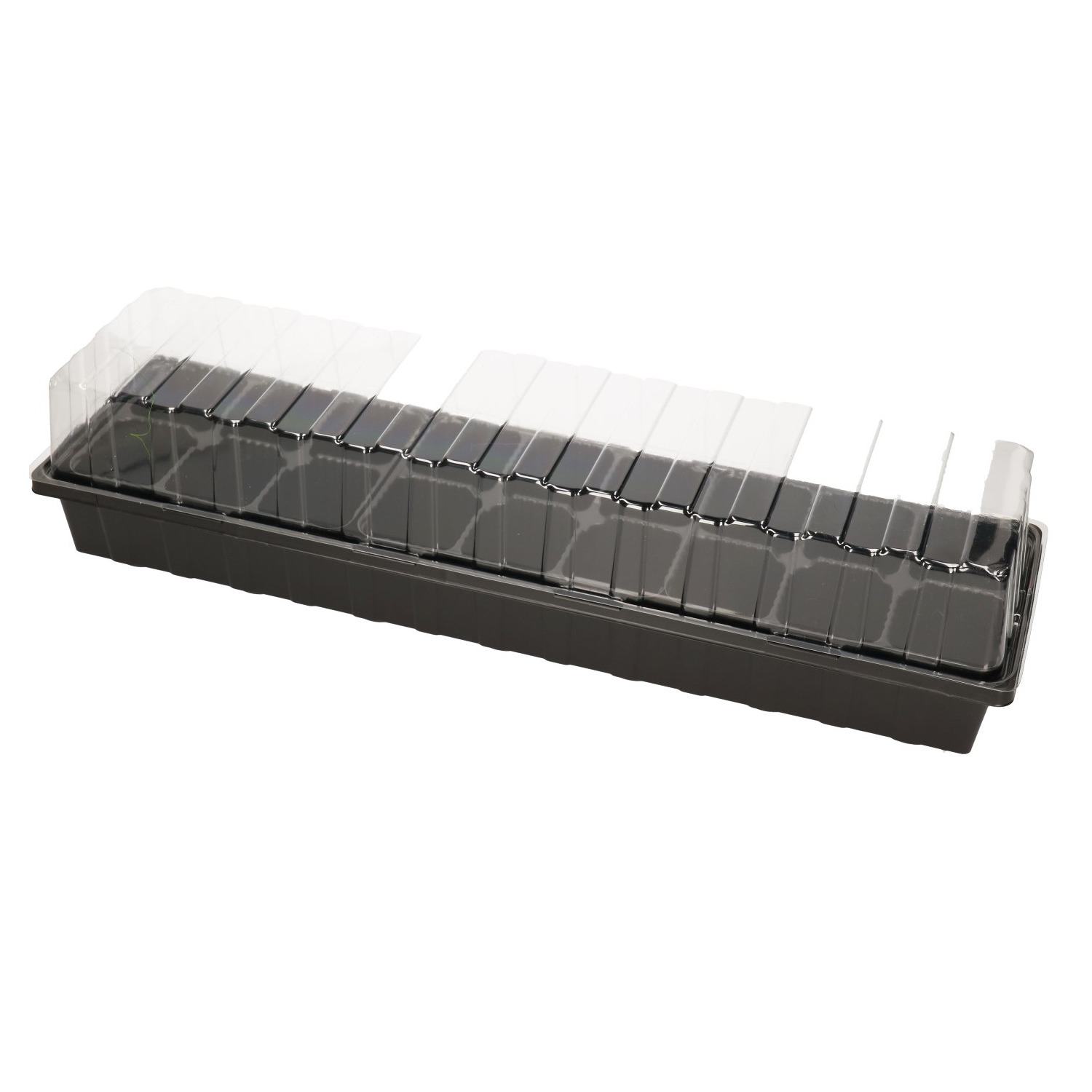 Talen Tools Kweekbak - met deksel - 8 x 54 x 15 cm - proagator - moestuinbak -
