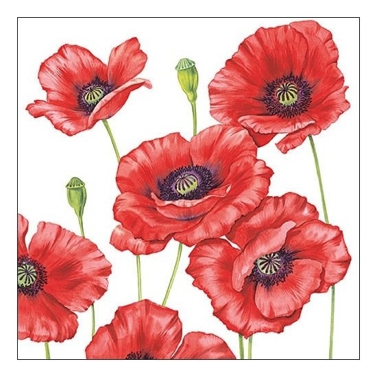 Klaprozen/poppy bloemen - 100x stuks - 33 x 33 cm - 3-laags -
