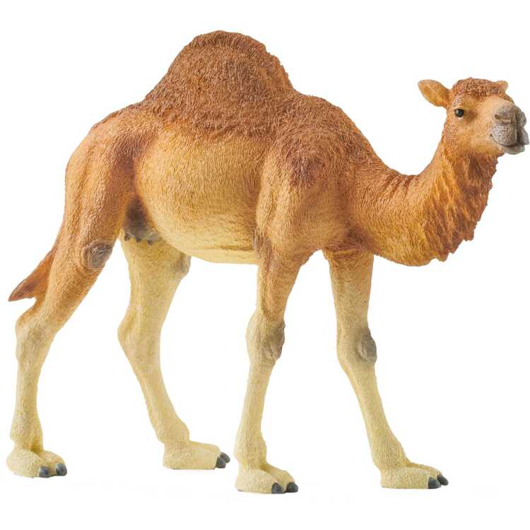 Schleich Wild Life - Dromedaris speelfiguur 14832