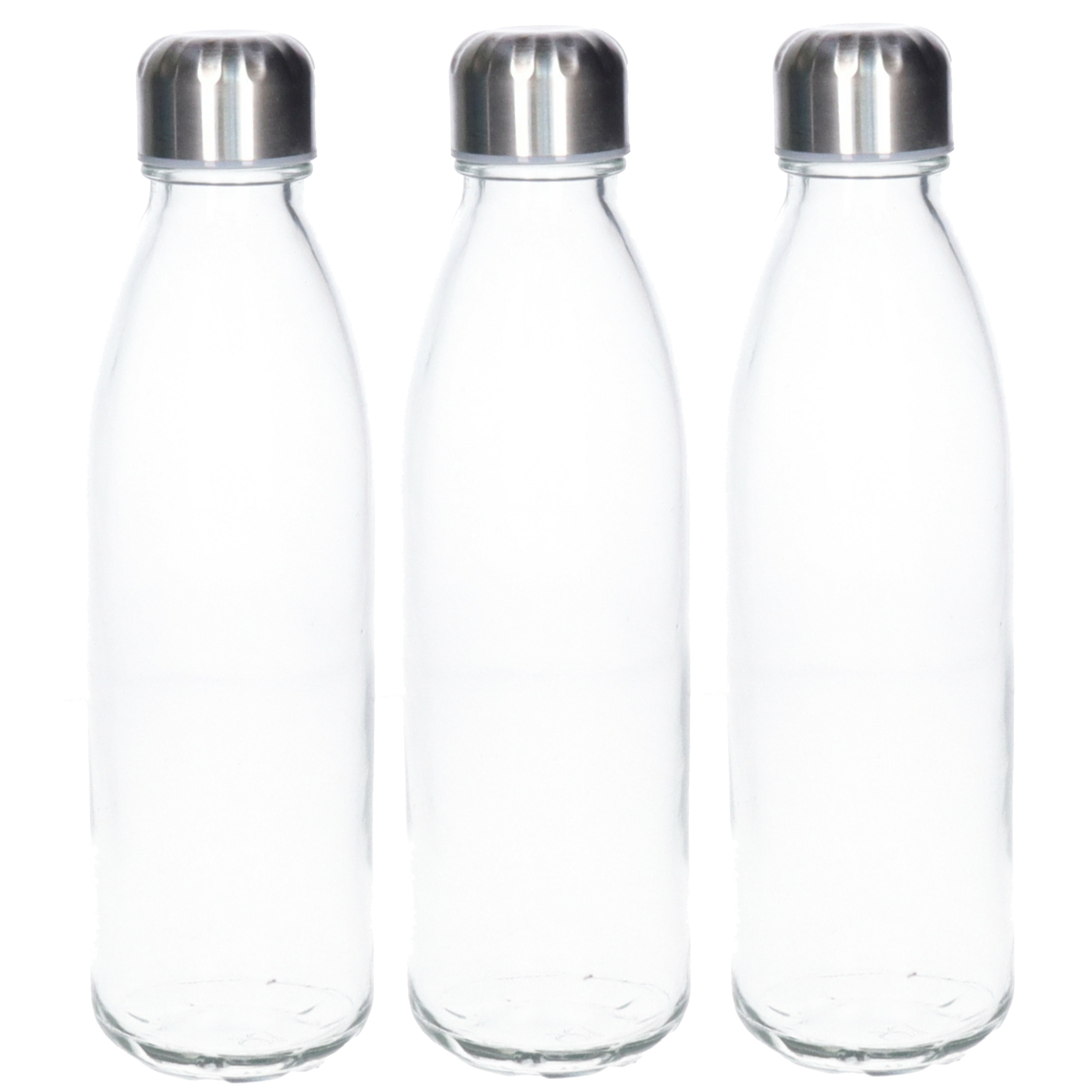 Waterfles/drinkfles - 3x - transparant - met RVS dop - 650 ml - glas - Sportfles - Bidon -