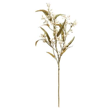 Eucalypthus bud spray - crème - 74 cm - Leen Bakker
