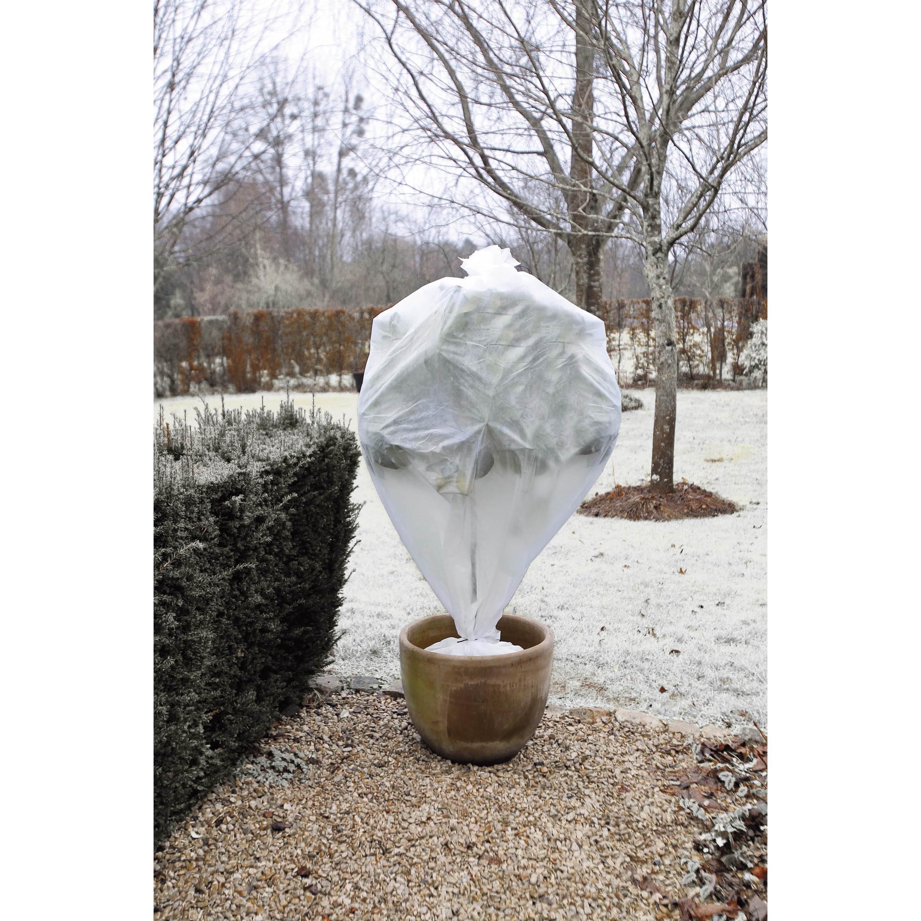 2x stuks plantenhoezen/winterafdekvliezen wit 10 meter x 64 cm anti-vorst bescherming -