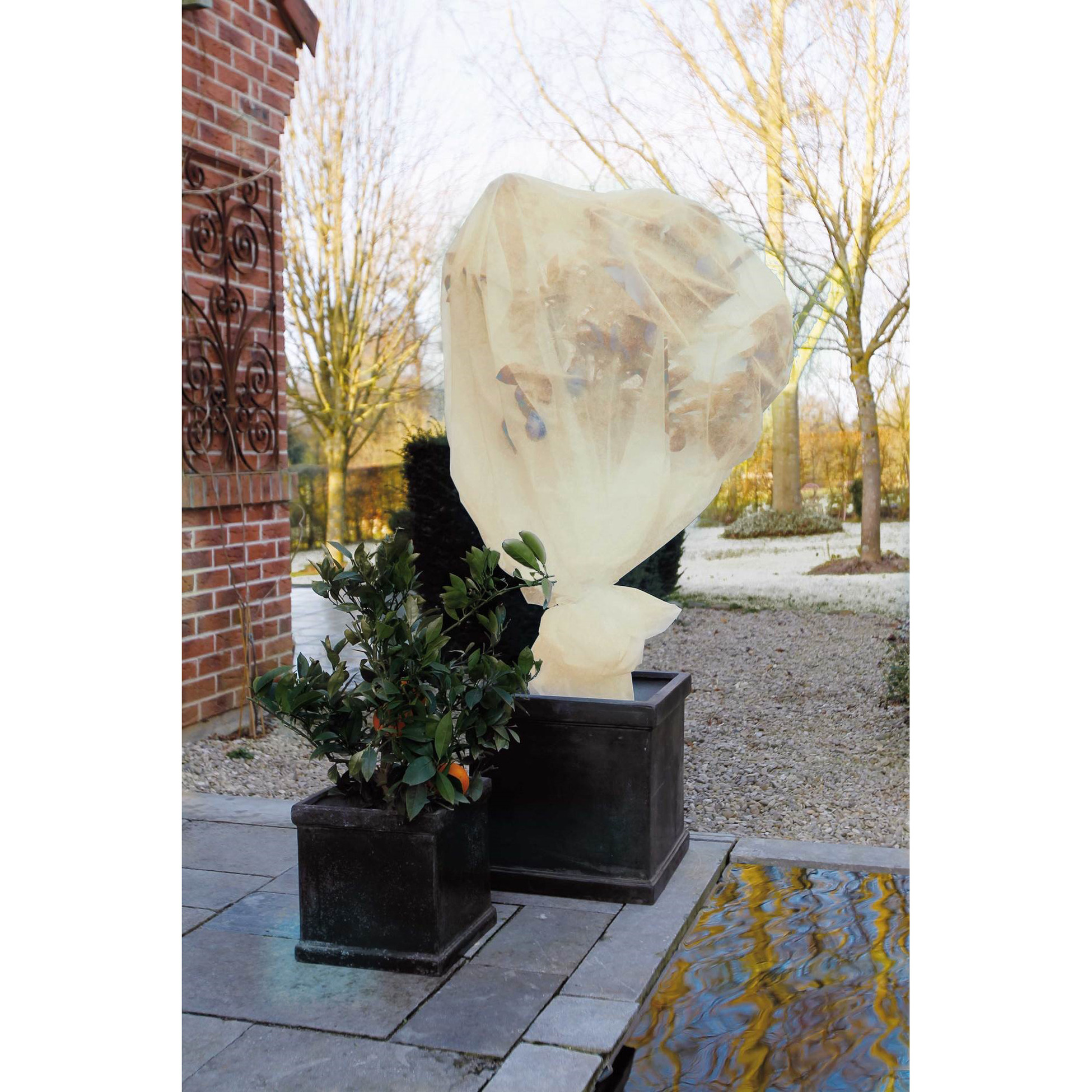 4x stuks plantenhoezen/winterafdekvliezen beige 2x5 meter anti-vorst bescherming -