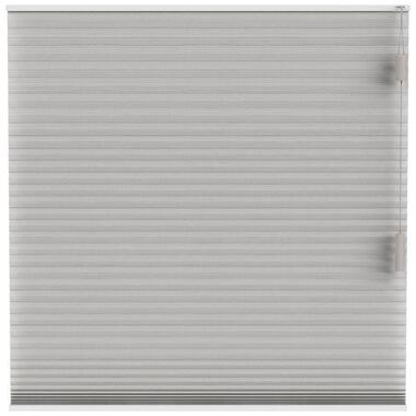 Fenstr plisségordijn Brisbane dubbel 25mm lichtdoorlatend - taupe (30017) - Leen Bakker