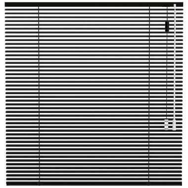 Fenstr aluminium jaloezie 25mm standaard lak - zwart (15026) - Leen Bakker