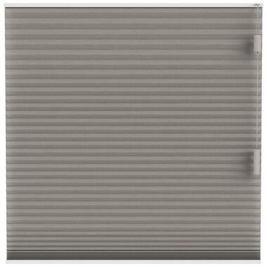 Fenstr plisségordijn Chicago dubbel 25mm lichtdoorlatend - taupe (30014) - Leen Bakker