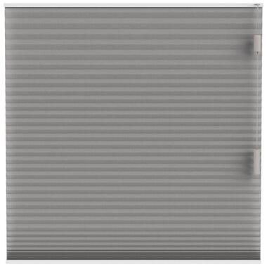 Fenstr plisségordijn Cambridge dubbel 25mm transparant - taupe (30020) - Leen Bakker