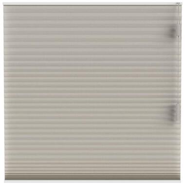 Plisségordijn dubbel 25mm lichtdoorlatend - taupe (30013) - Leen Bakker
