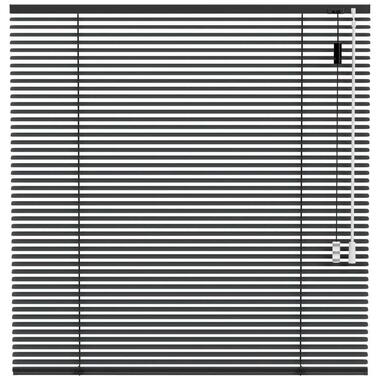 Fenstr aluminium jaloezie 25mm extra mat - donkergrijs (20519) - Leen Bakker