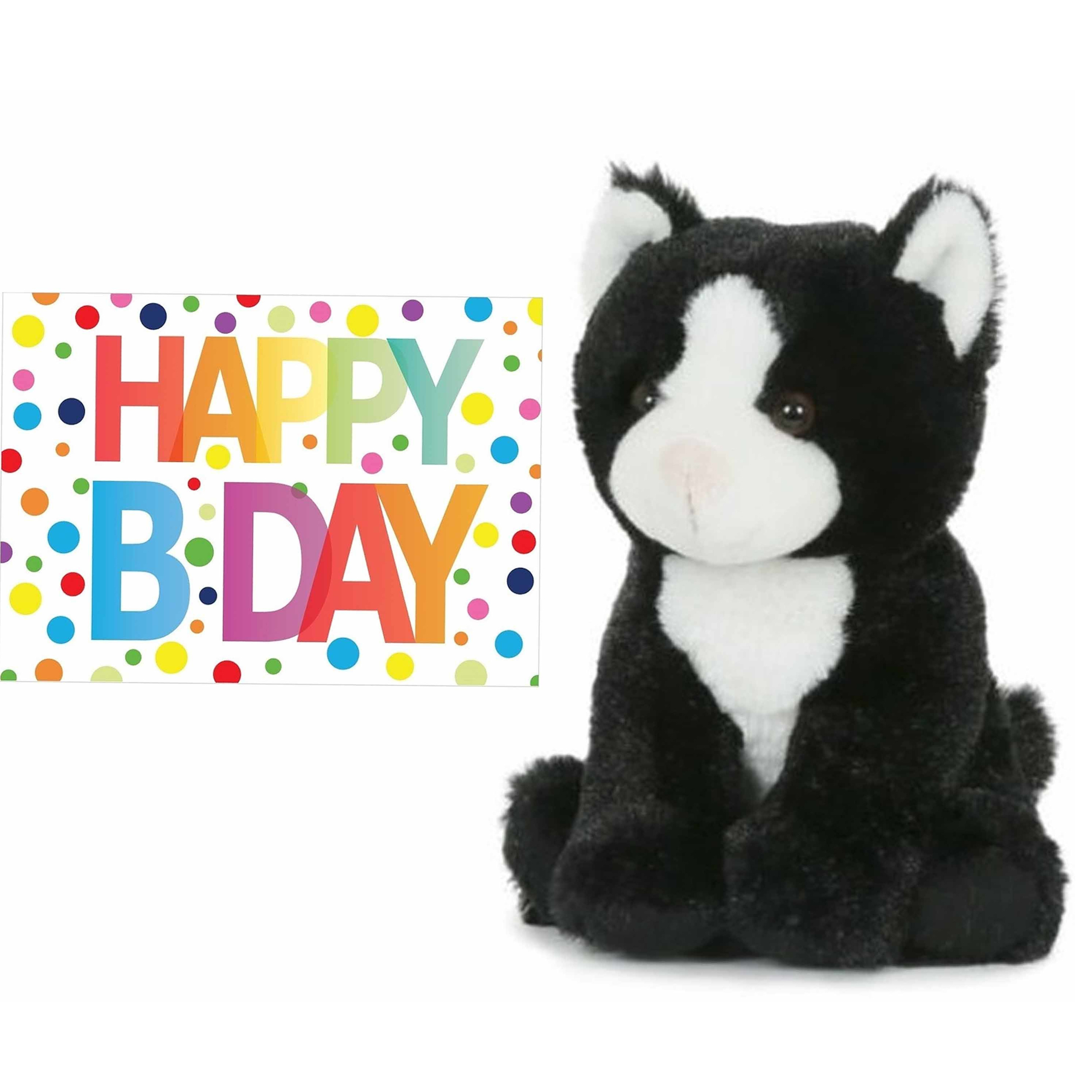 Pluche knuffel kat/poes zwart/wit 18 cm met A5-size Happy Birthday wenskaart -