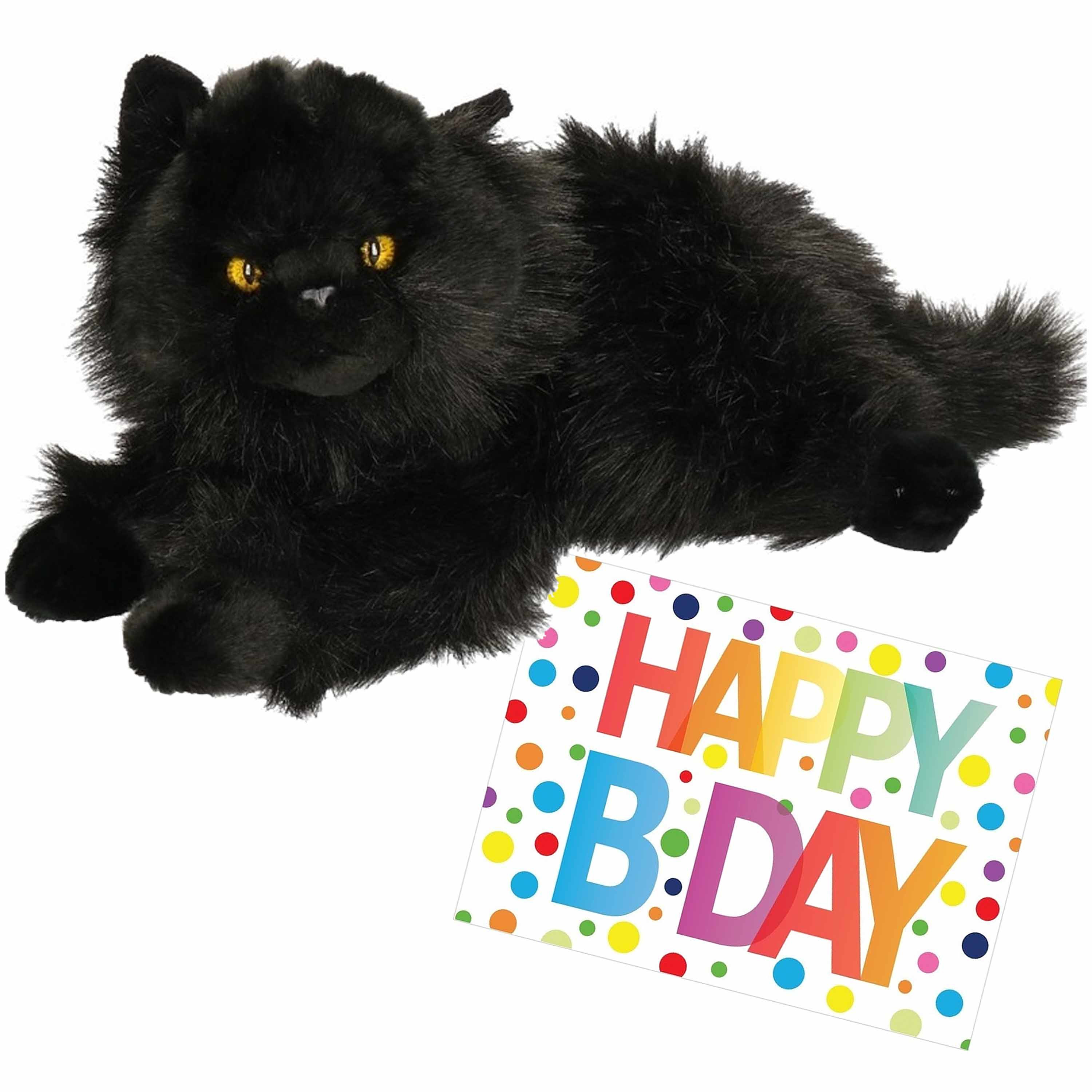 Pluche knuffel kat/poes zwart 30 cm met A5-size Happy Birthday wenskaart -