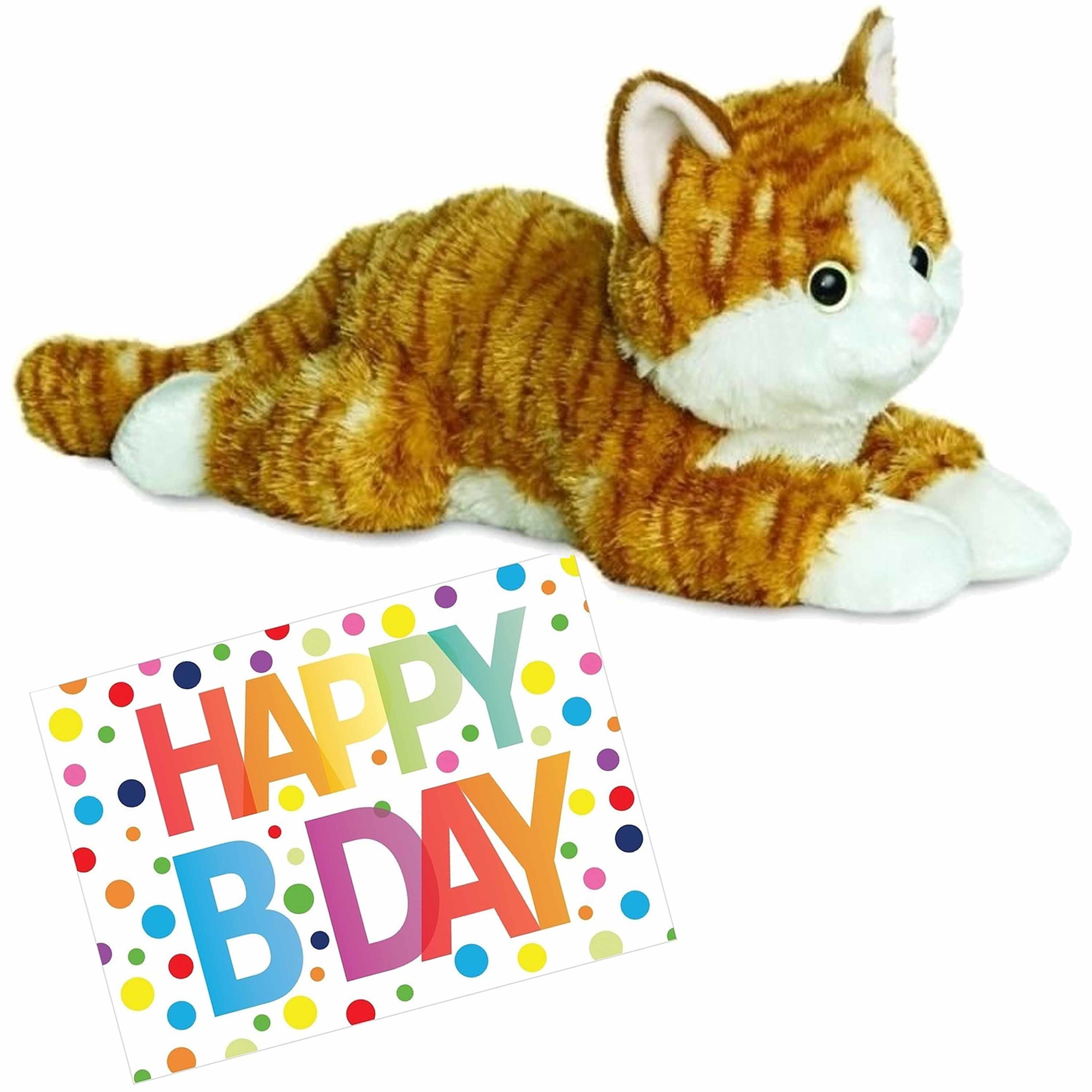 Pluche knuffel kat/poes rood 30 cm met A5-size Happy Birthday wenskaart -
