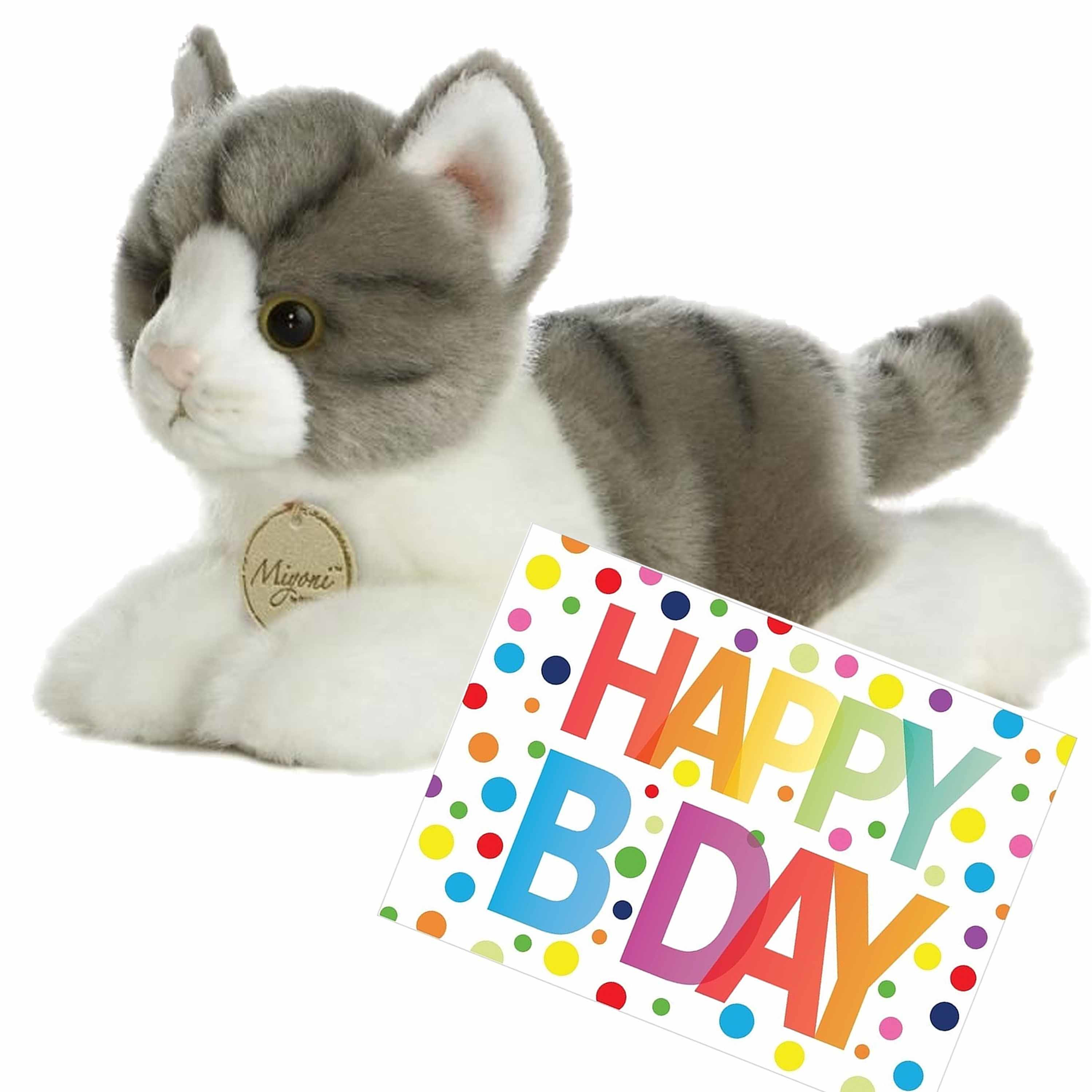 Pluche knuffel kat/poes grijs/witte 20 cm met A5-size Happy Birthday wenskaart -