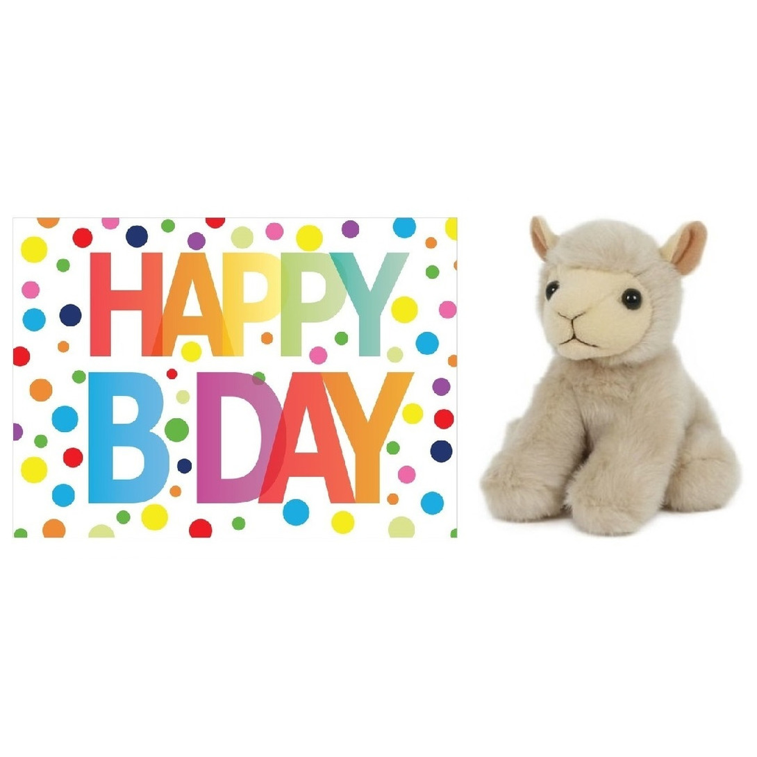 Pluche knuffel lammetje/schaap 13 cm met A5-size Happy Birthday wenskaart -
