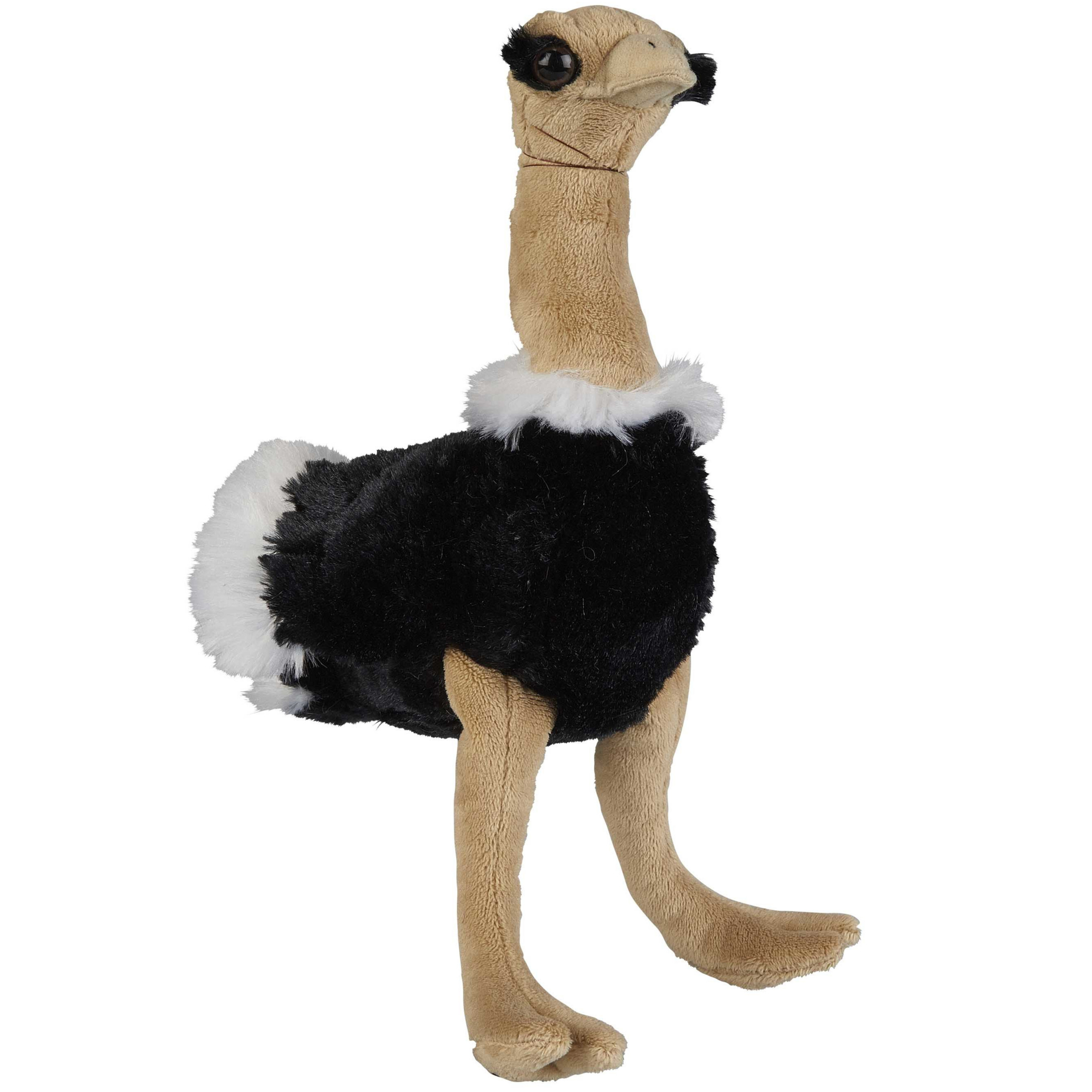 Pluche knuffel dieren Struisvogel vogel van 18 cm -