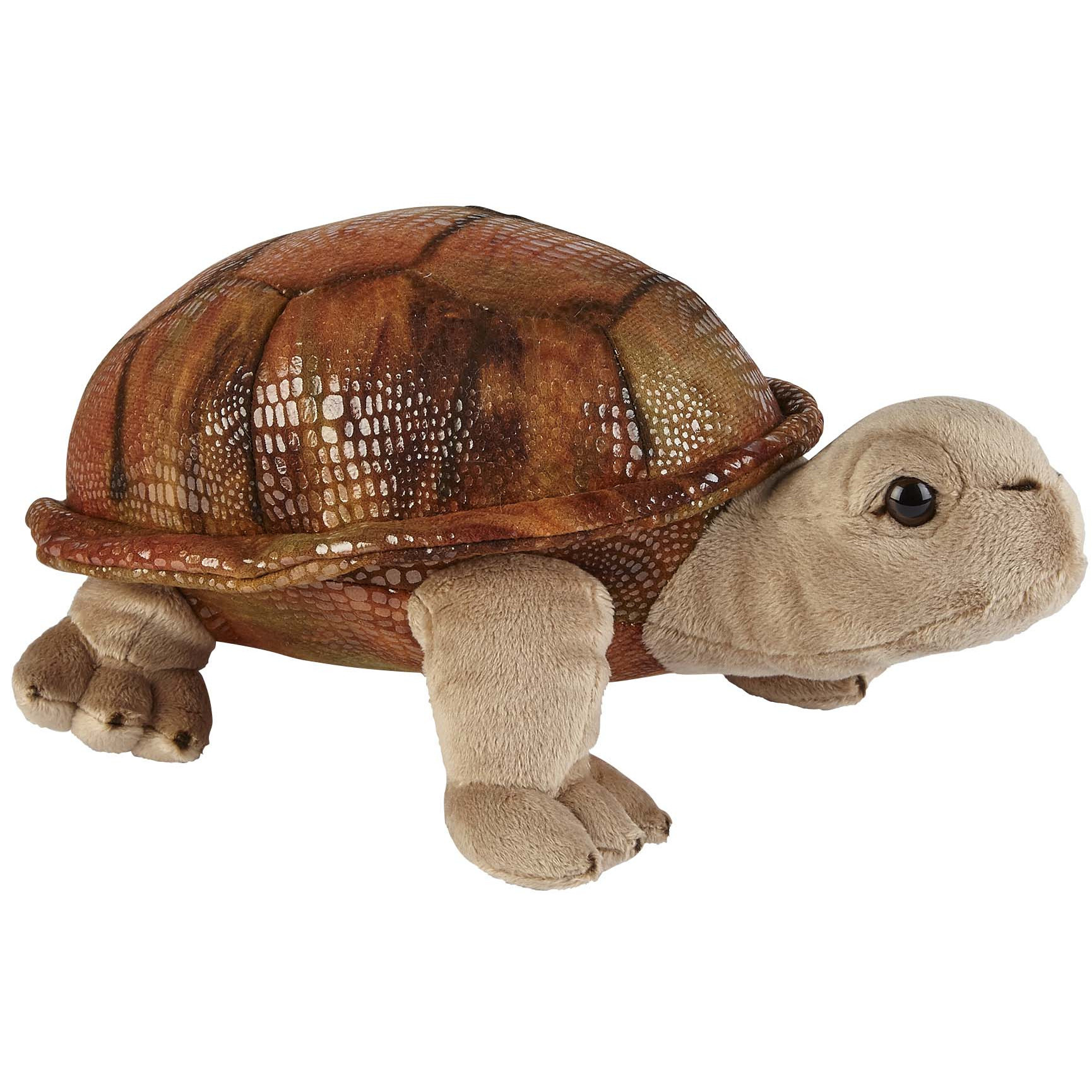 Pluche knuffel dieren Land Schildpad van 32 cm -